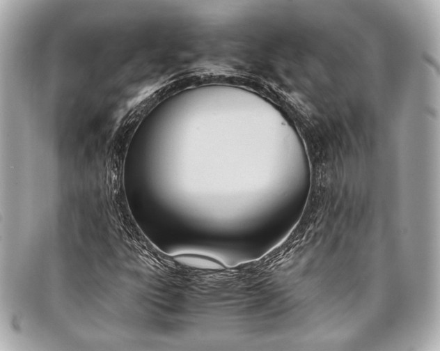 X0000098101303200804181414
