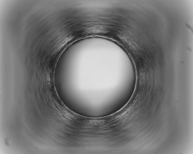 X0000098101305200804181414