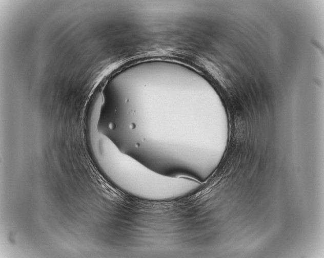 X0000098101308200804181414