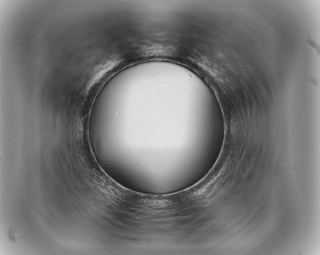 X0000098101309200804181414