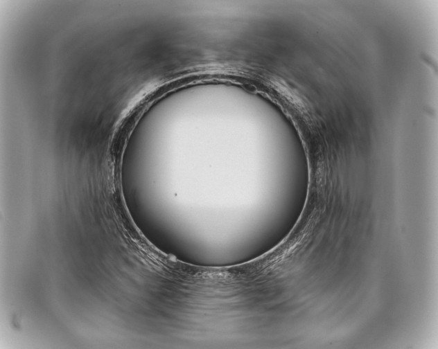 X0000098101310200804181414