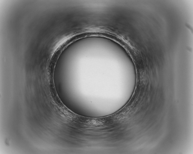 X0000098101311200804181414