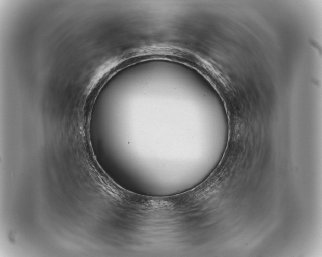 X0000098101312200804181414