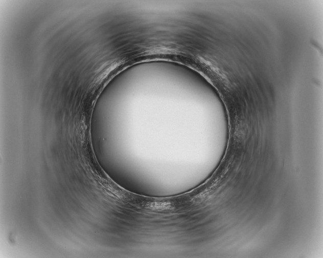X0000098101313200804181414