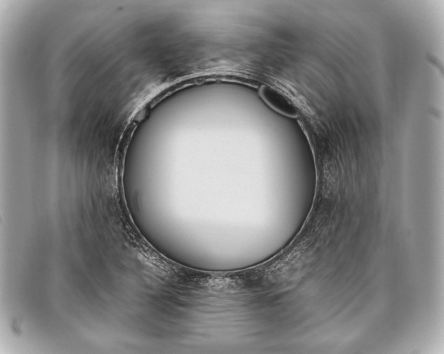 X0000098101316200804181414