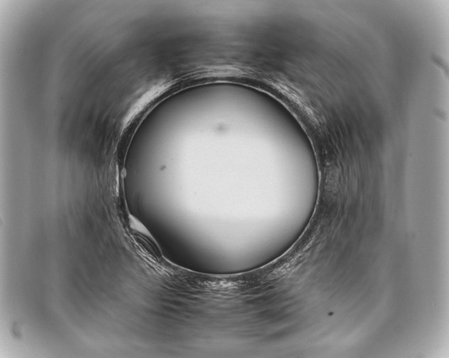 X0000098101317200804181414