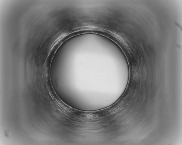 X0000098101318200804181414