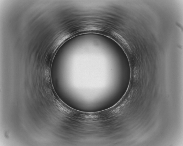 X0000098101321200804181414
