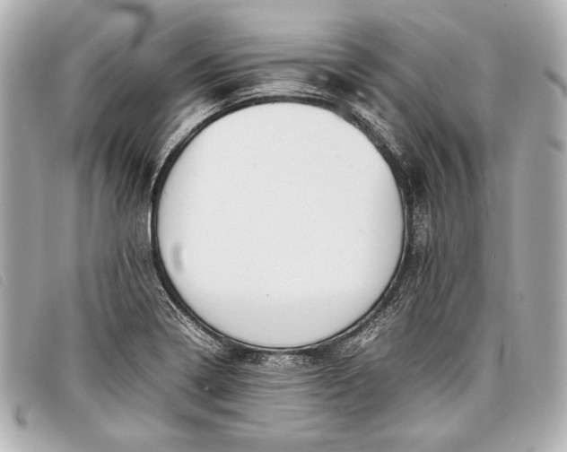 X0000098101322200804181414