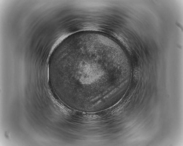 X0000098101323200804181414