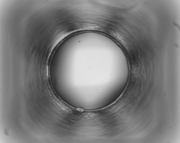 X0000098101324200804181414