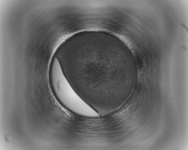 X0000098101327200804181414