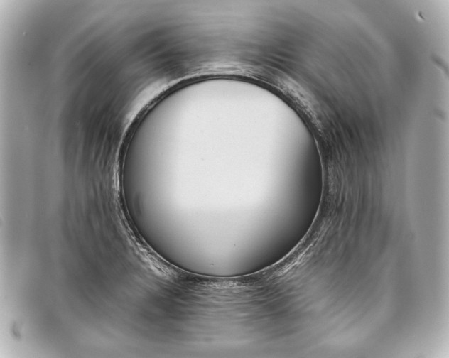 X0000098101328200804181414