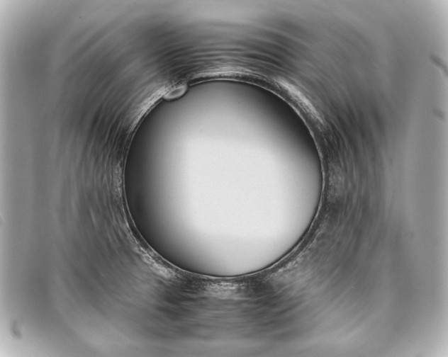 X0000098101329200804181414