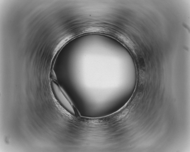 X0000098101330200804181414
