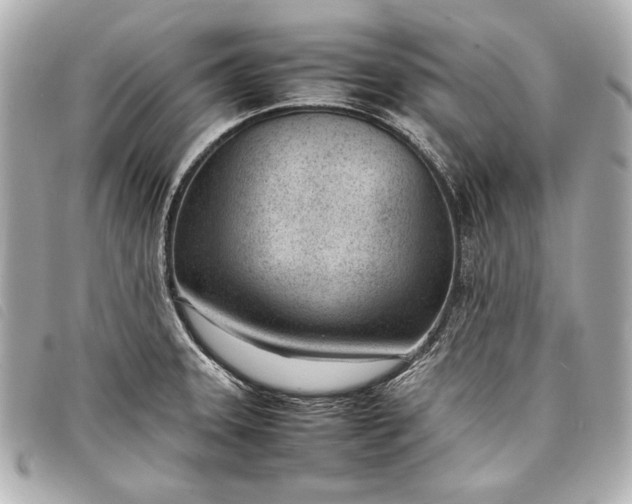 X0000098101331200804181414