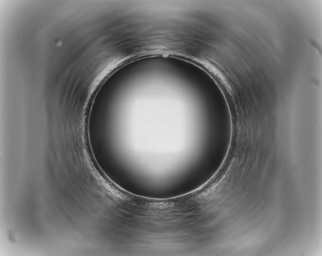 X0000098101333200804181414