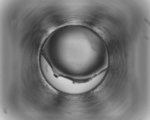 X0000098101334200804181414