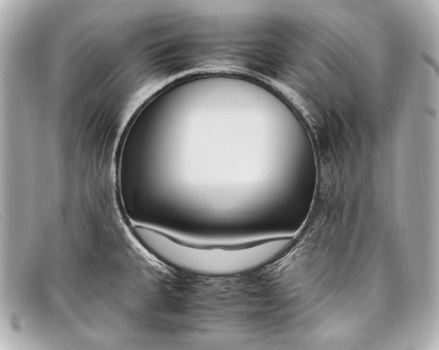 X0000098101335200804181414