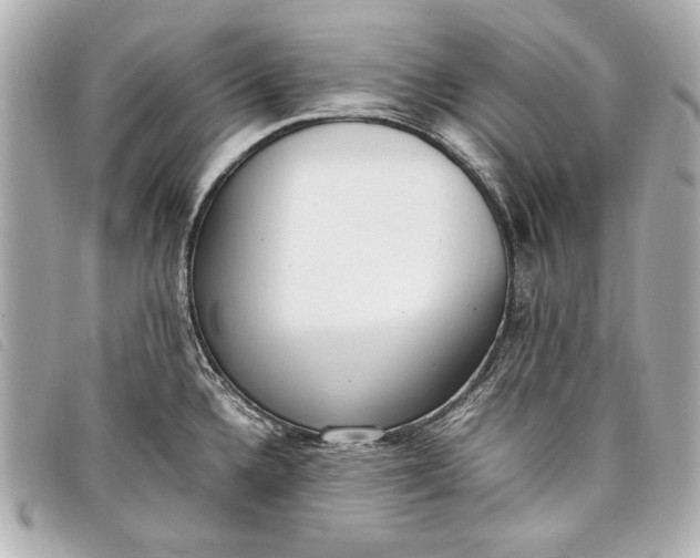 X0000098101336200804181414