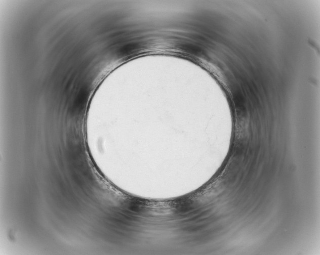 X0000098101338200804181414