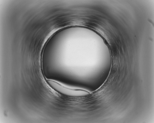 X0000098101339200804181414