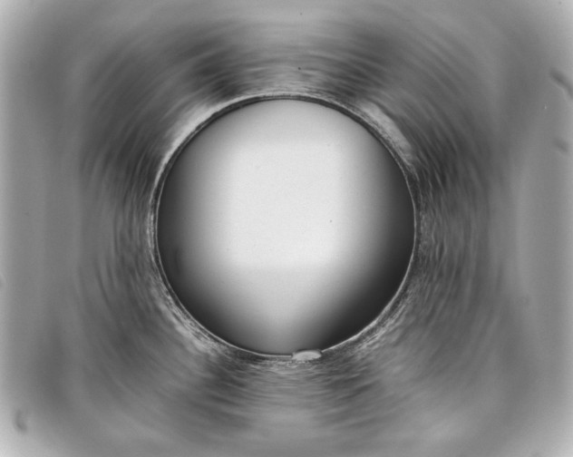 X0000098101340200804181414