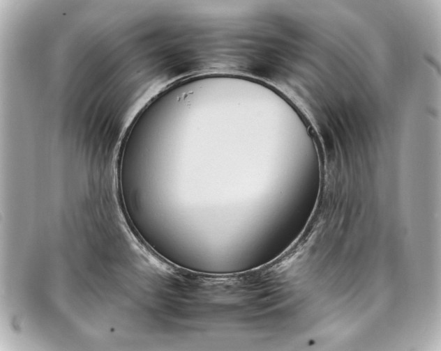 X0000098101341200804181414