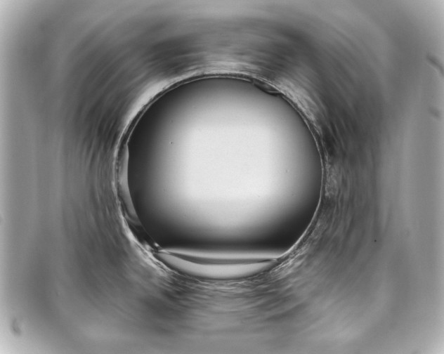 X0000098101342200804181414