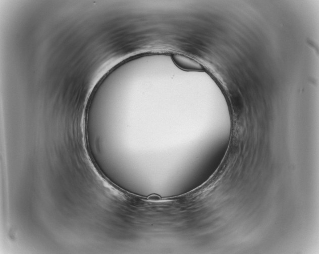 X0000098101343200804181414
