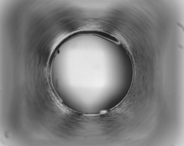 X0000098101344200804181414