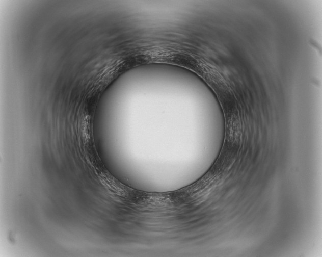 X0000098101346200804181414