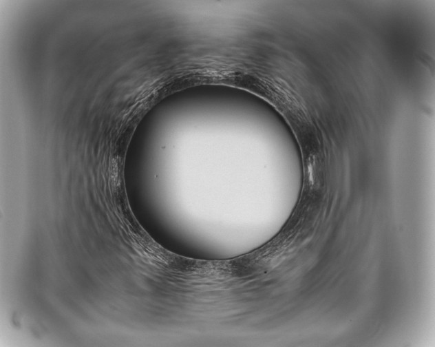 X0000098101347200804181413