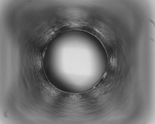 X0000098101348200804181413