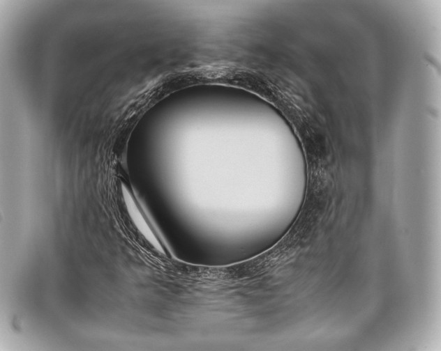 X0000098101349200804181413