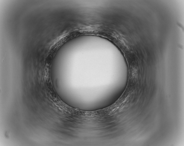 X0000098101350200804181413