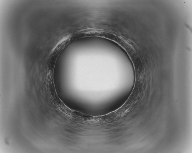 X0000098101351200804181413