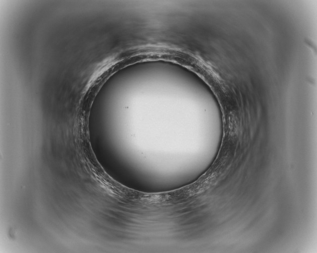 X0000098101352200804181413