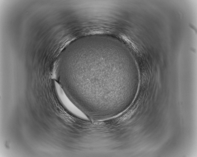 X0000098101353200804181413