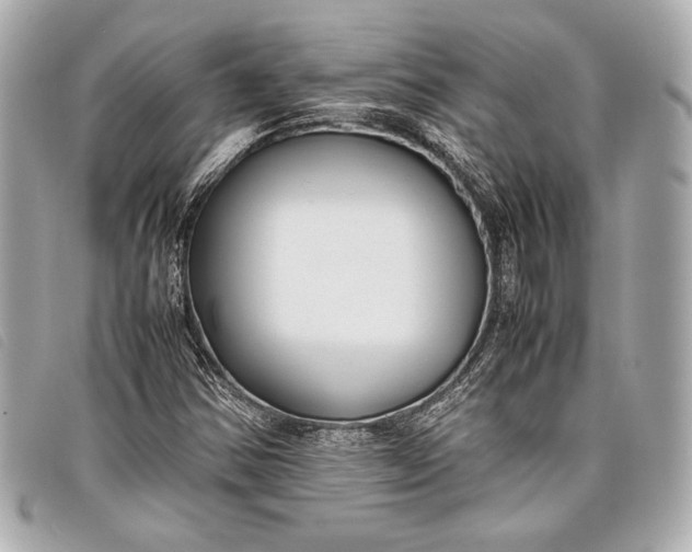 X0000098101354200804181413