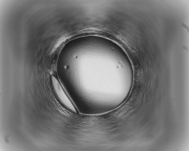 X0000098101355200804181413