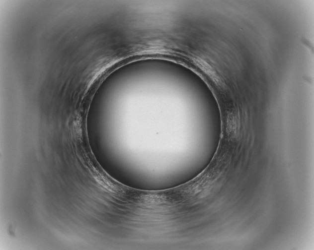 X0000098101356200804181413
