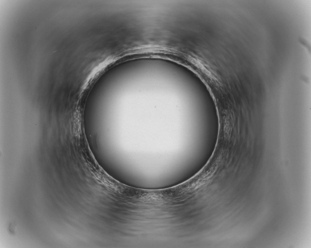 X0000098101358200804181413