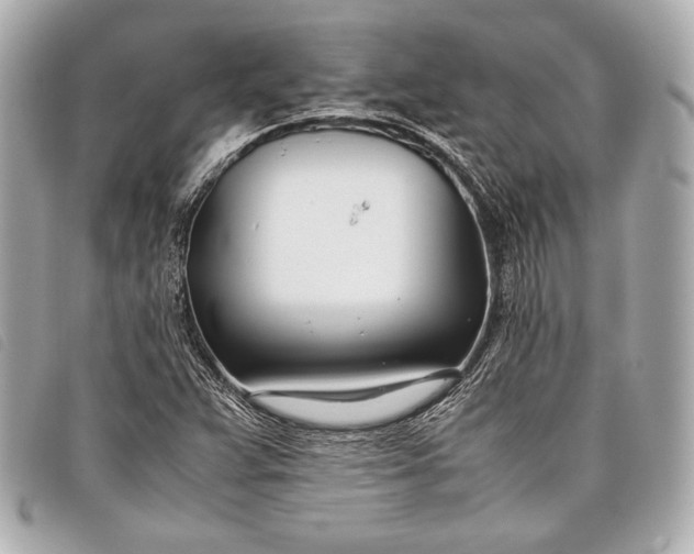 X0000098101359200804181413