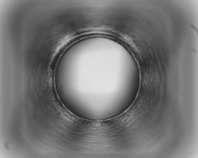 X0000098101360200804181413