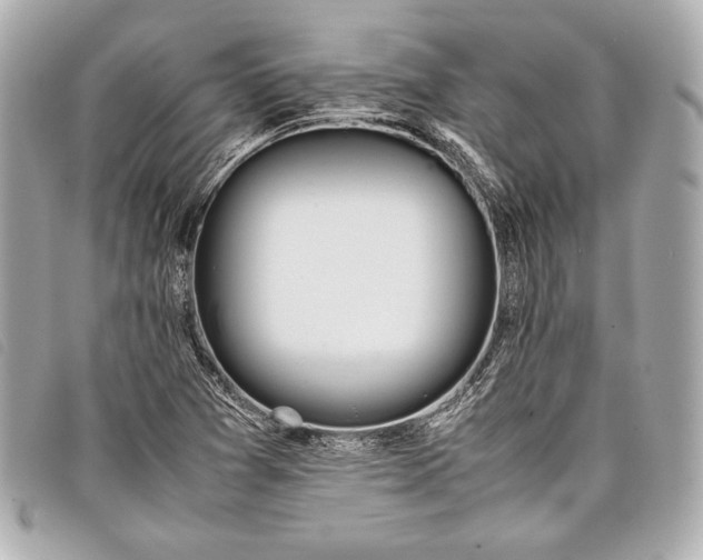 X0000098101361200804181413