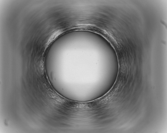 X0000098101362200804181413