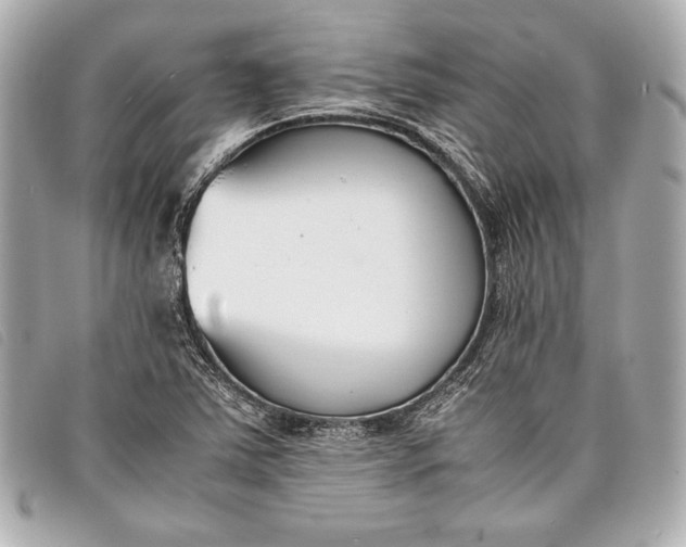 X0000098101363200804181413