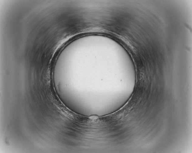X0000098101364200804181413