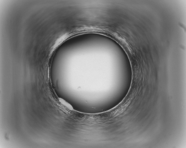 X0000098101365200804181413